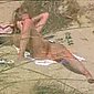 FKK Video - Privates Strand Video