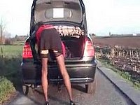 Scharfes Luder setzt sich auf die Anhängerkupplung vom Auto